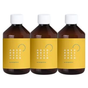 75-dňový program KolagenDrink ABSORBii HYALURON 3 x 250 ml