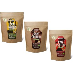 Lifefood RAW proteín BIO 450g - Ovocný