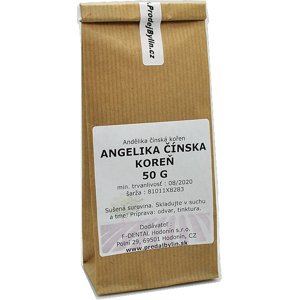 F-Dental Hodonin Angelika čínska 200g koreň