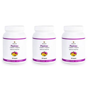 Pestrec + Reishi + Púpava 270 kapsúl - Matcha Day