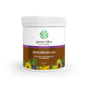 Artroregen masážny gél 250 ml - Green idea