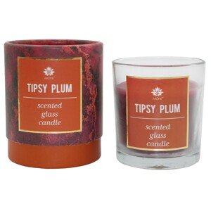ARÔME Sviečka v papierovej tube Tipsy Plum 120 g